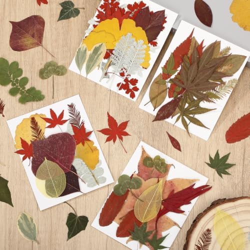 Timtin 84 Pcs Dried Pressed Leaves Flowers for Resin, Fresh
