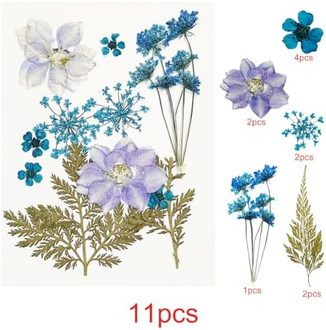 Cayway Natural Dried Pressed Flowers, Natural Dried Pressed Leaves, Natural Dry Flowers Leaves with Tweezers, Scissors for Pressed Leaf Art Craft DIY Embellishment Decorations (Green Pink Blue)