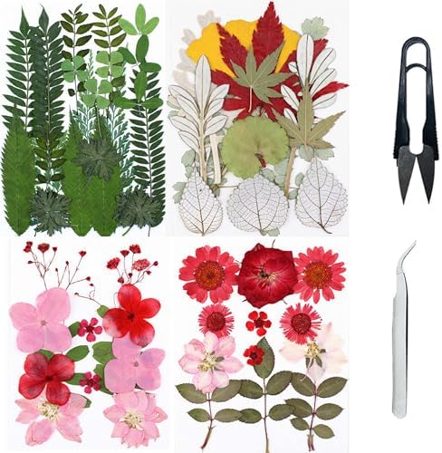 Cayway Natural Dried Pressed Flowers, Natural Dried Pressed Leaves, Natural Dry Flowers Leaves with Tweezers, Scissors for Pressed Leaf Art Craft DIY Embellishment Decorations (Green Pink Red)