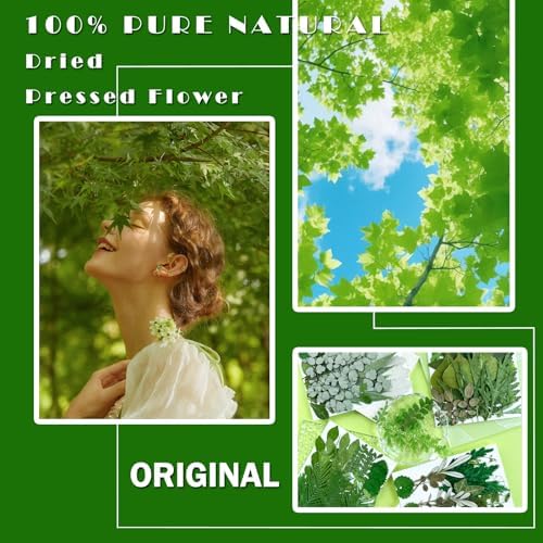 MIKIYA 84Pcs Pressed Dried Leaves for Resin Molds, Assorted Real Natural Bulk Dry Flowers for DIY Art Crafts, Epoxy Jewelry, Candle, Soap Making, Nails Decors Gifts