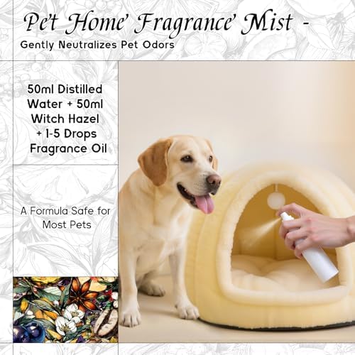 HIQILI Sunlit Embrace Fragrance Oil for Diffuser, Candle & Soap