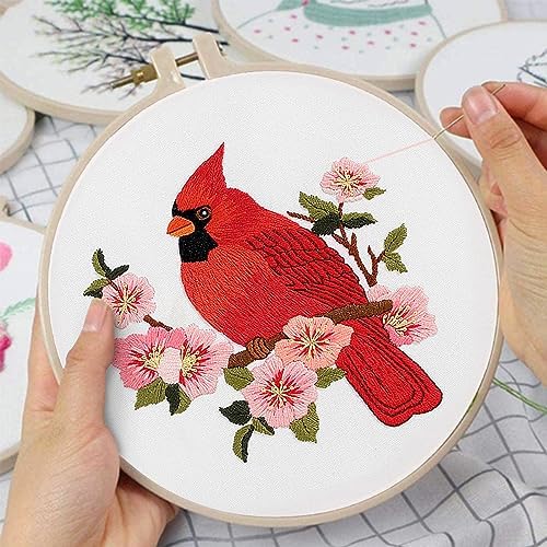 Louise Maelys Cardinal Embroidery Kits for Beginners with Flower Pattern