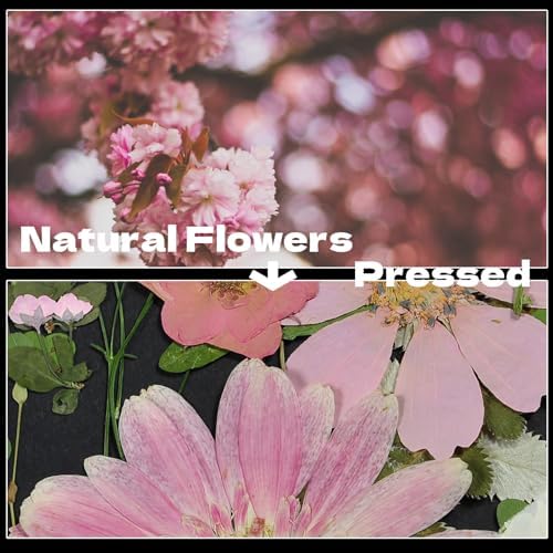 Pink Dried Pressed Flowers, Real Nature Flowers with Tweezers