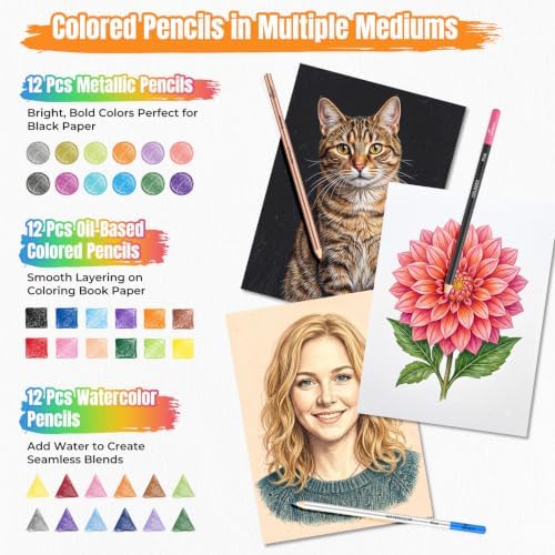 176PCS Art Supplies, Drawing Kit with 3-Color 100 Sheets Sketch Book