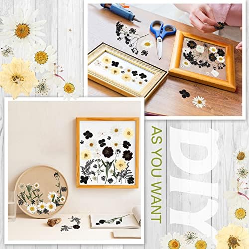 Nuanchu Black White Dried Pressed Flowers for Craft Resin, Gothic DIY Art