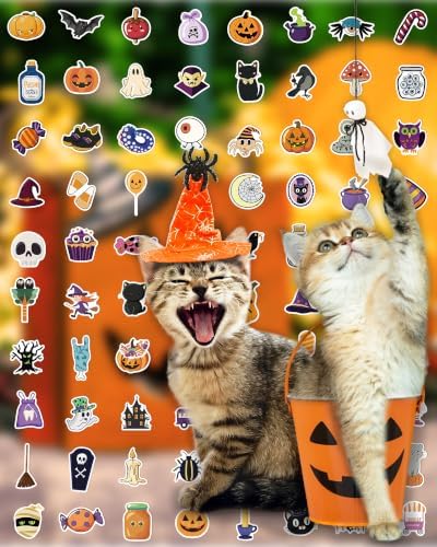 300 PCS Halloween Pumpkin Stickers,Waterproof Vinyl Water Bottle Stickers | Halloween Treats Non Candy, Party Favors Gifts, Goodie Bags Stuffers, Halloween Prizes, Laptop Sticker for Kids Teens Adults