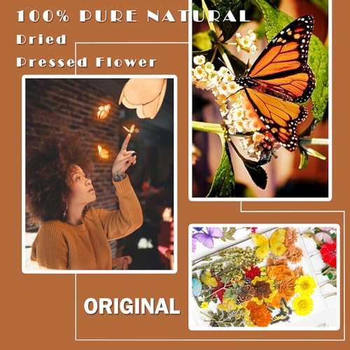 MIKIYA 103Pcs Dried Pressed Flowers with Butterfly Stickers for Resin Molds, Real Natural Bulk Dry Floral Leave for DIY Art Crafts, Epoxy Jewelry, Candle, Soap Making, Nails Decors
