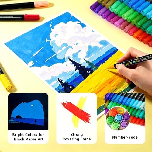 48 Colors Dual Tip Acrylic Paint Markers Pens - Dot markers and Fine Tip