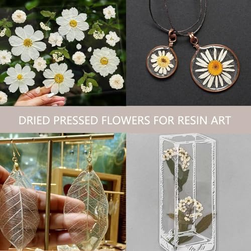 White Dried Pressed Flowers for Crafts,Real Natural Dried Flowers and Leaves for Resin Mold Scrapbooking DIY Candle Making Gifts（Modern Style）