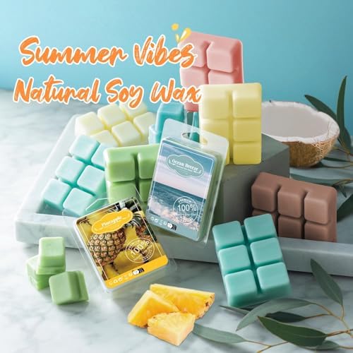 Thickened Wax Melt Molds Containers Clamshells for Wax Melts