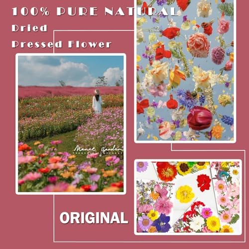 MIKIYA 101Pcs Pressed Dried Flowers for Resin Molds, Real Natural Bulk Dry Floral Leave for DIY Art Crafts, Epoxy Jewelry, Candle, Soap Making, Nails Decors