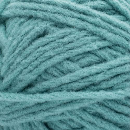 Bernat Forever Fleece Yarn, 280G, Blue Teal 2 Count (Pack of 2)