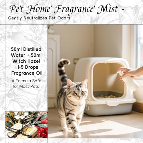 HIQILI Run Wild Fragrance Oil for Candle, Soap & Diffuser