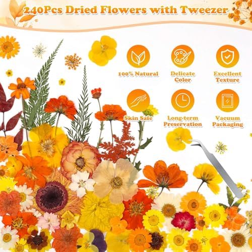 361 Pcs Fall Dried Pressed Flowers Butterfly Stickers for Resin Crafts