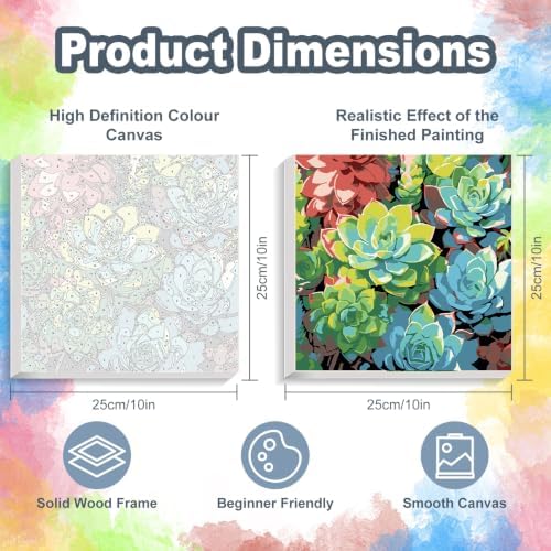 Succulents Framed Paint by Numbers Kit for Adults Beginner 10x10 inch