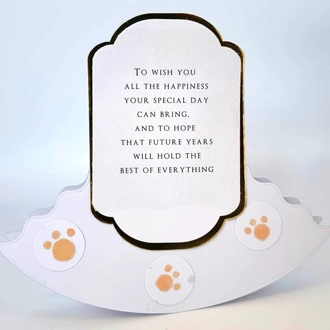 Katy Sue A Year of Peelables Stickers for Card Making. 72 Peelable Verses/Peel Offs/Sentiments Stickers for Year Round Card Making Supplies & Embellishments