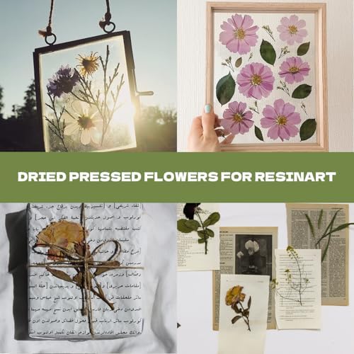 63 Pcs Dried Flowers for Resin 21 Styles Pressed Leaves