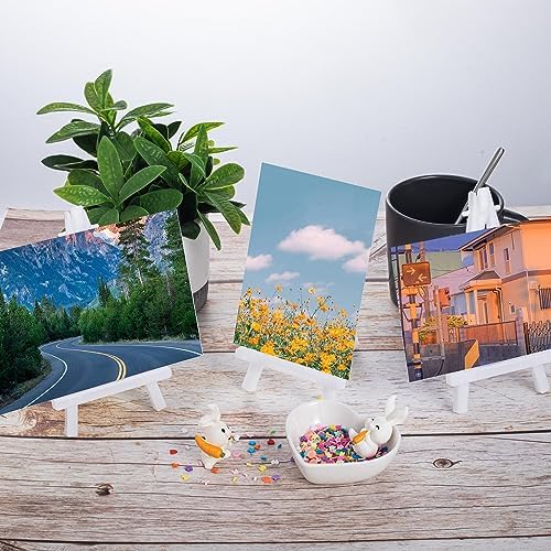 HINZIC 6Pack Mini Easel Stand 5" Canvas Holder White Plastic Small Display Easel Portable for Canvases, Painting, Crafts, Business Cards, Signs, Photos
