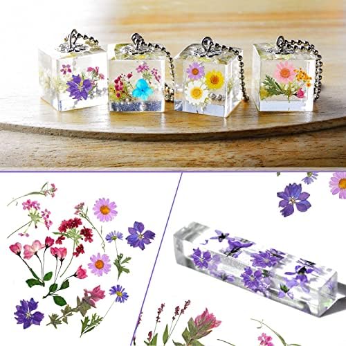 Nuanchu Dried Pressed Flowers for Resin,Delicate Style,Bright Colors