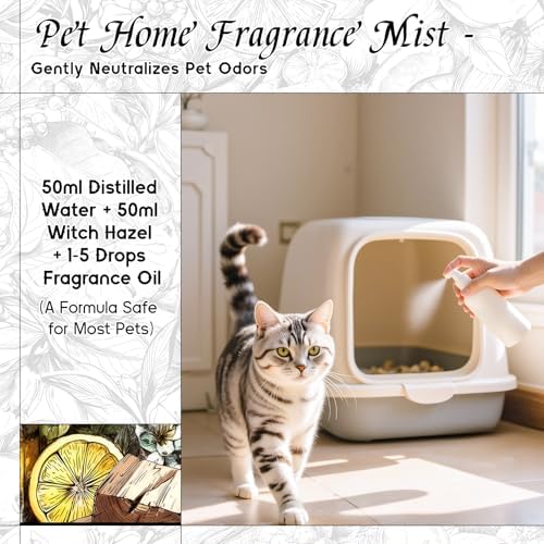 HIQILI Shadow Glass Fragrance Oil for Diffuser & Aromatherapy