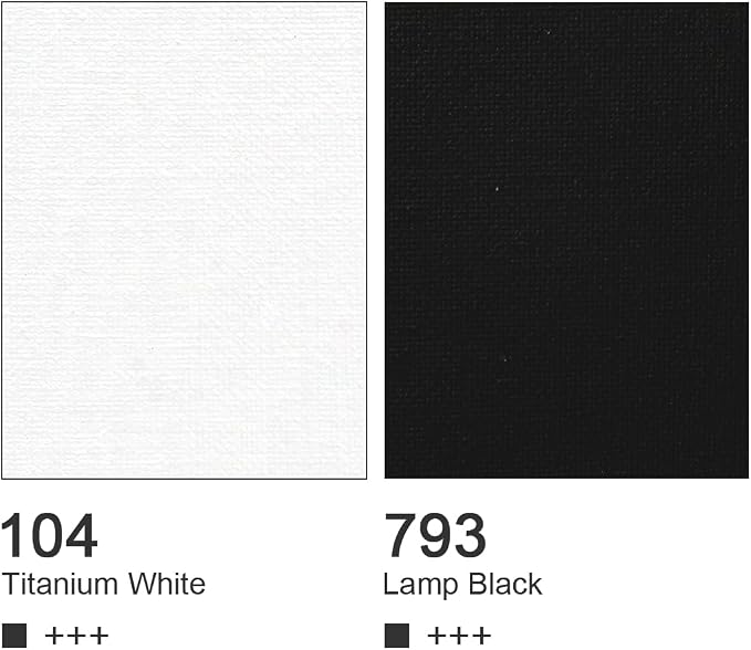 AUREUO White and Black Acrylic Paint - 4 Fl Oz / 120ml - 2 Tubes Set, Art Craft Paints for Canvas, Rocks, Wood, Ceramic, Fabric