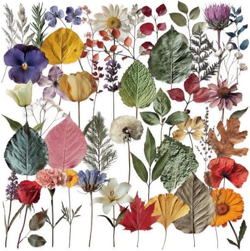 50PCS Natural Floarl Scrapbook Stickers, Pressed Flower Stickers | PET Transparent Scrapbook Supplies for DIY Craft, Planners, Journal, Notebook, Laptop,Water Bottle