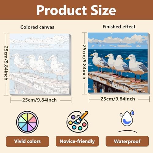 Reivworl Framed Seagull Paint by Numbers Kit for Adults Beginner 10×10 inch