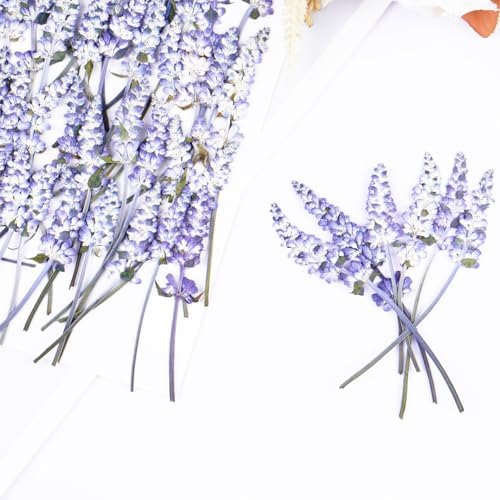 50Pcs Lavender Dried Pressed Flowers for Crafts,Xinxinran Dry Flowers Kit for Wedding Invitation,Resin Molds Bookmark,Jewelry Molds,Candle Making Supplies,Soap,Frame,Cakes