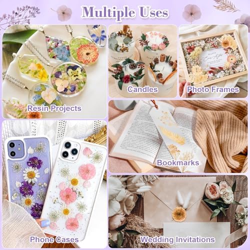 Real Dried Flowers 100% Natural Dried Flowers, Mixed Colors Dried Leaf Flowers for DIY Arts and Crafts Candles Resin Jewelry Nail Pendant Cards Scrapbooking Wedding Home Decoration (White)