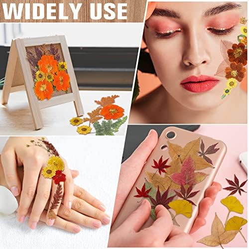 Nuanchu Fall Natural Dried Flowers Pressed for Crafts Resin Molds DIY Suppy