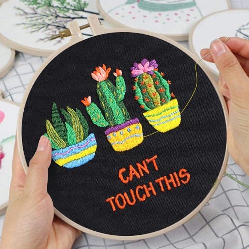 Louise Maelys 3 Pack Funny Cactus Embroidery Kit for Beginners DIY Craft