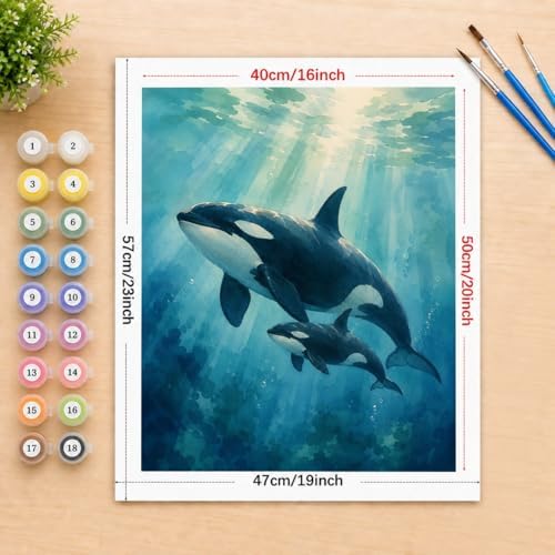 Marine Wildlife Digital Painting Kit for Adults - DIY Orca Whale Mother and Calf Oil Painting on Canvas 16x20 Inches, Acrylic Paint Kit, Good for Beginners, Coastal Home Decor or Gift Artwork