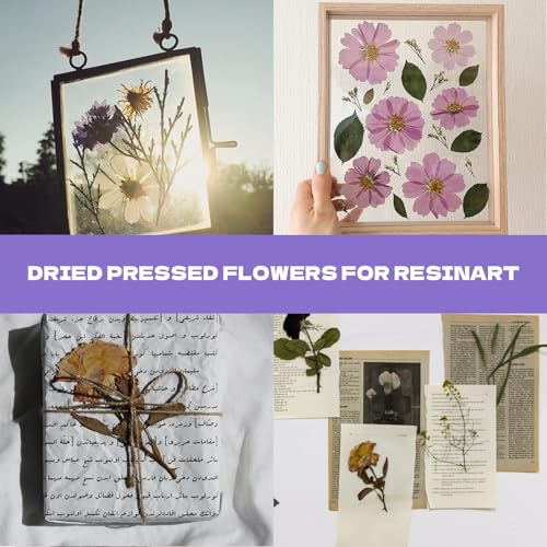 Dried Flowers for Resin 119Pcs Pink Real Natural Pressed Flowers