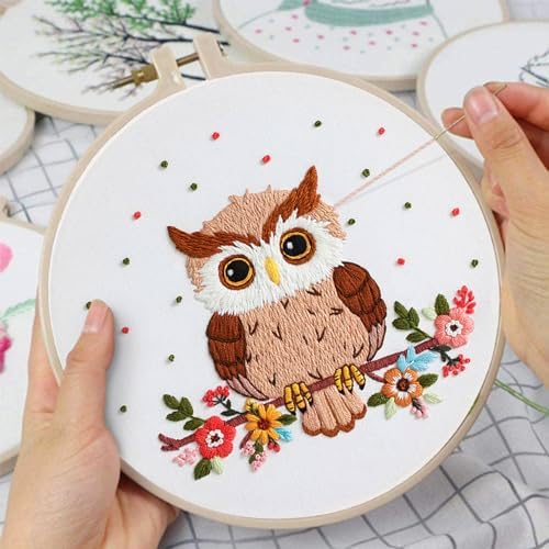 Louise Maelys Cute Owl Embroidery Kit for Beginners Animal DIY