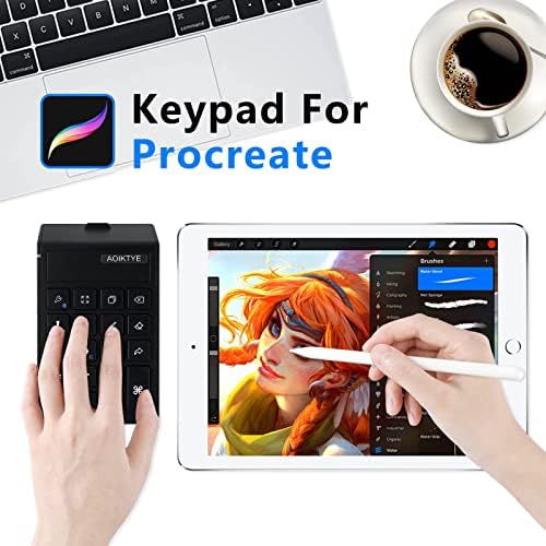 Keyboard for Procreate, 22 Shortcut Keys Wireless Keyboard for iPad Digital Drawing, 84H Battery Life Such as Painter/AI/SAI/CSP/PS, etc(Black)