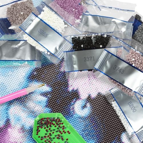ZORETCO 30000 Pcs 60 Colors Diamond Art Painting Beads