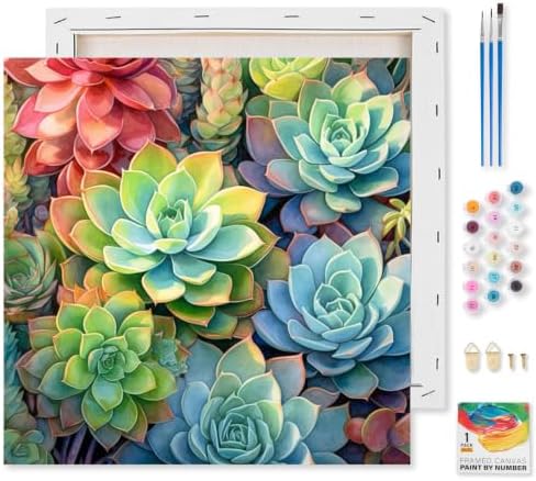 Succulents Framed Paint by Numbers Kit for Adults Beginner 10x10 inch