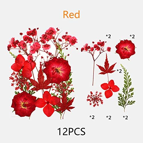Cayway Real Pressed Flowers Dry, 4 Pack Pressed Flowers Colorful Real Pressed Flowers for Resin Scrapbooking DIY Art Crafts, Epoxy Resin Jewelry, Soap Making