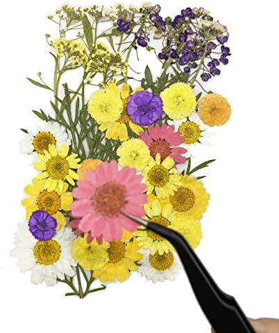 Cayway 40 Pcs Real Pressed Flowers Dry with Tweezers Set, Dried Flowers for Resin Scrapbooking DIY Art Crafts, Epoxy Resin Jewelry, Soap Making