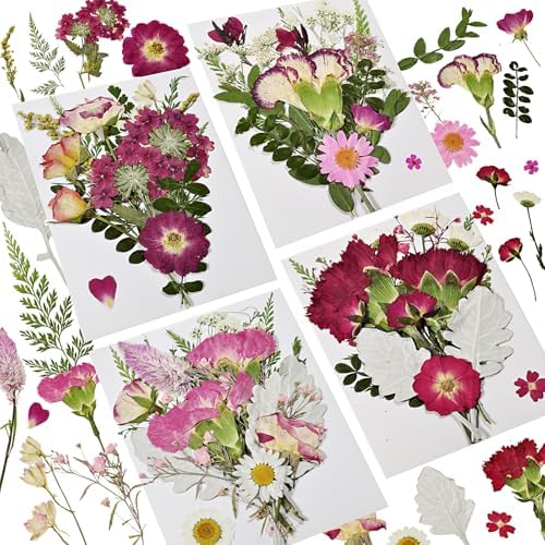 Dried Pressed Flowers for Resin