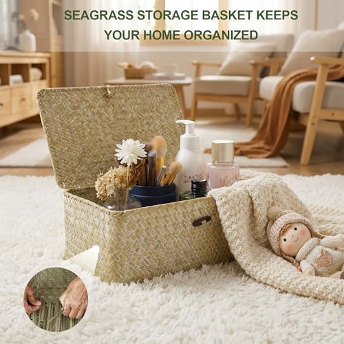 Nonam Wicker Storage Basket with Lid, Seagrass Shelf Basket Set of 2, White