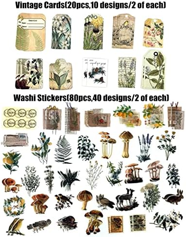 Esweny 260PCS Vintage Journaling Scrapbooking Supplies Scrapbook Sticker Paper Ephemera Pack for Junk Journal Planners Collage Craft Notebooks Album (Plants and Birds)