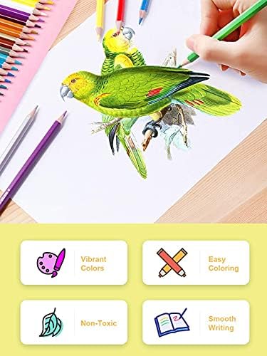 Leven 36 Pack Colored Pencils with Built-in Sharpener in Tube Cap | Vibrant Color Presharpened Pencils for School Kids Teachers, Soft Core Art Drawing for Coloring, Sketching, and Painting