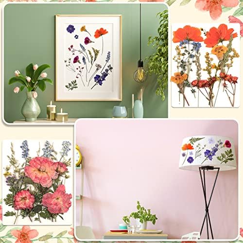 Nuanchu Real Dried Pressed Flowers for Craft Resin Molds, Cottage Garden