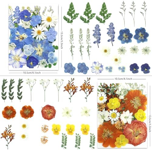 LUXEEASE 4-Color 100P Vibrant Dried Pressed Flowers
