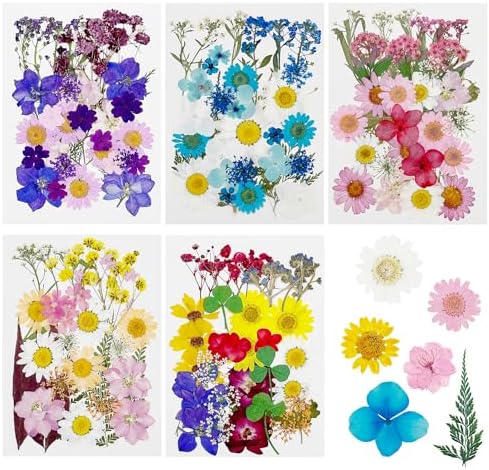 Cayway 170 PCS Dried Flowers for Resin, Real Nature Dried Pressed Flower Leaves for DIY Nail Art Cards Jewelry Making Epoxy Resin Molds Candle Accessories Floral Decors, Multicolor