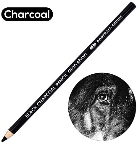 qianshan 2 Pcs Black White Color Charcoal Pencils, Professional Hight Quality Sketch Highlight Charcoal Wooden Pencils for Artist Drawing, Sketching, Blending, 2 Colors of 1 Black, 1White