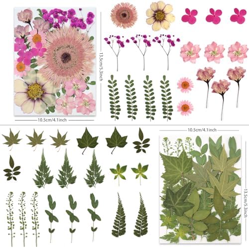 LUXEEASE 80P Vibrant Colors Large Pressed Flowers & Leaves | Cosmos daisy maple leaves, varied textures, pink purple white green, for resin scrapbook frame decor, tweezers included