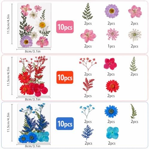155 pcs Dried Flowers for Resin, Natural Flowers and Leaves Kit with Butterfly Stickers，Vacuum Sealed DIY Pressed Flowers for Jewelry Molds, Candle Soap Making, Scrapbook, Nail Art (Colorful-B)