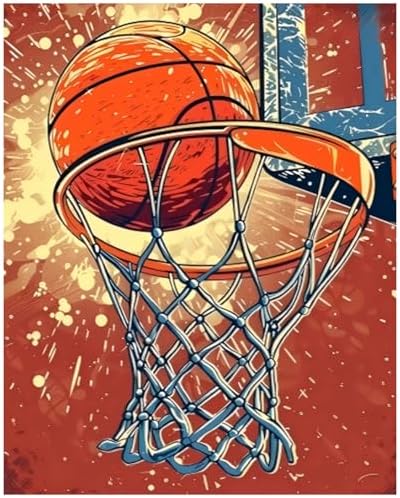 Aestalrcus Basketball Paint by Numbers Kit for Adults Beginner, 16x20inch
